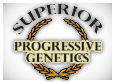 Superior Progressive Genetics